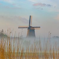 Ronja Linssen windmill